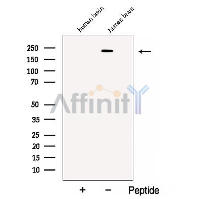Валидация Affinity DF12873 - 7609