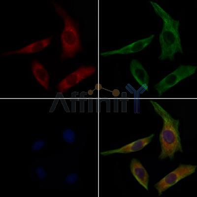 Валидация Affinity DF6820 - 18391