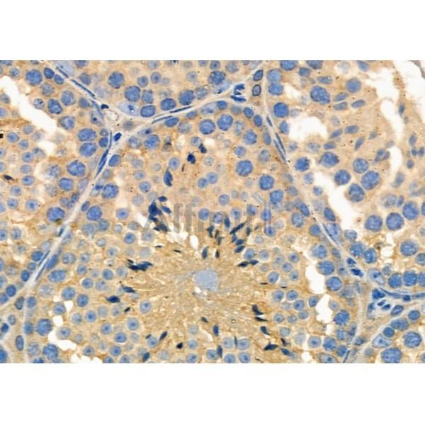 Валидация Affinity DF9095 - 21389