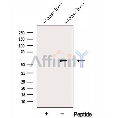 Валидация Affinity DF13023 - 7832