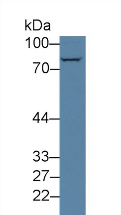 13982