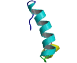 Purinergic Receptor P2Y, G Protein Coupled 8 (P2RY8) Purinergic Receptor P2Y, G Protein Coupled 8 (P2RY8)
