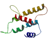 Succinate Receptor 1 (SUCNR1) Succinate Receptor 1 (SUCNR1)