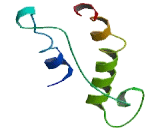 Olfactory Receptor 2B11 (OR2B11) Olfactory Receptor 2B11 (OR2B11)
