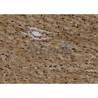 Валидация Affinity DF2934 - 13679