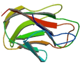Tumor Necrosis Factor Ligand Superfamily, Member 18 (TNFSF18) Tumor Necrosis Factor Ligand Superfamily, Member 18 (TNFSF18)