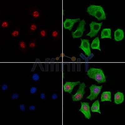 Валидация Affinity AF6328 - 3599