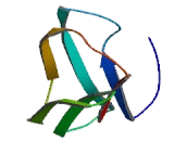 Fc Receptor Like Protein 2 (FCRL2) Fc Receptor Like Protein 2 (FCRL2)
