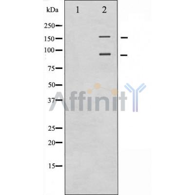 Валидация Affinity AF6125 - 3342
