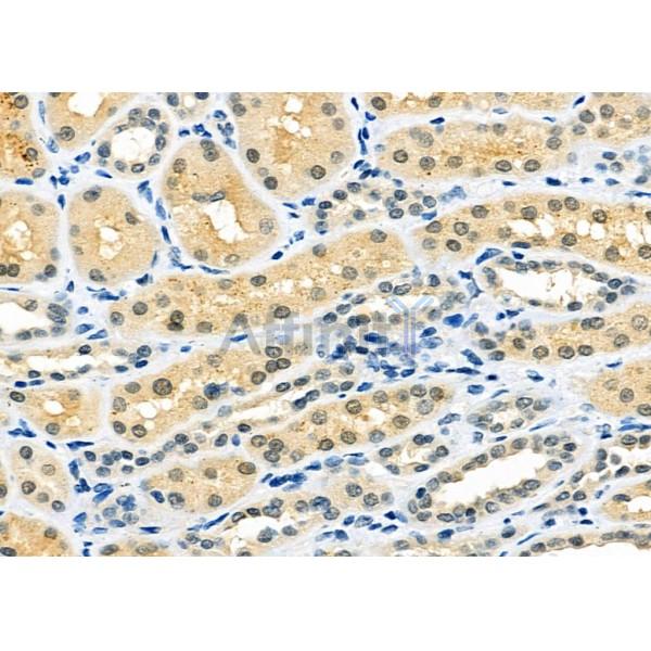 Валидация Affinity DF12288 - 6645