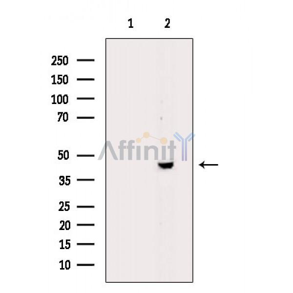 Валидация Affinity DF8472 - 20352