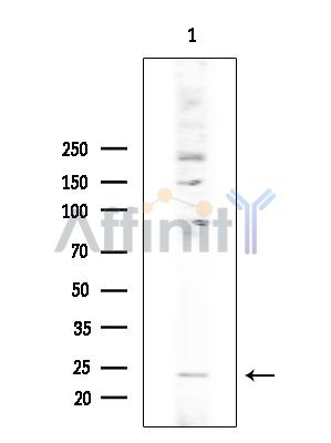 Валидация Affinity DF6284 - 17591