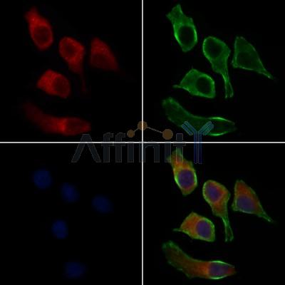 Валидация Affinity DF6914 - 18514