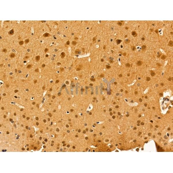 Валидация Affinity AF5493 - 3180