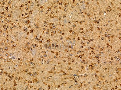 Валидация Affinity DF14122 - 9916