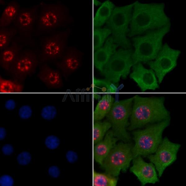 Валидация Affinity AF6347 - 3631