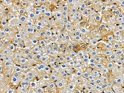 Валидация Affinity DF12821 - 7531