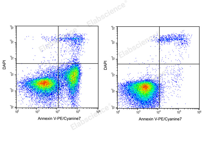 Валидация Elabscience E-CK-A127 - 25