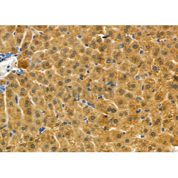 Валидация Affinity DF9630 - 22355