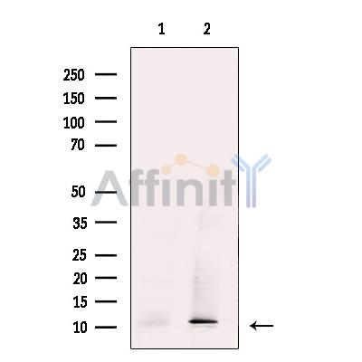 Валидация Affinity DF12233 - 6528