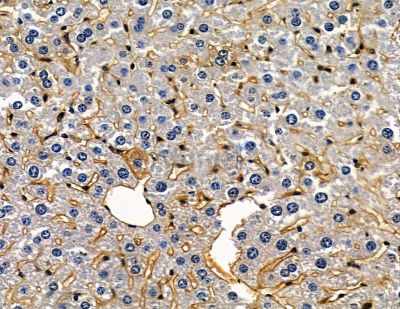 Валидация Affinity DF15904 - 12417