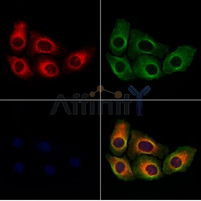 Валидация Affinity DF7860 - 19676