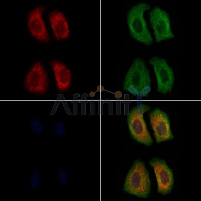 Валидация Affinity AF9104 - 4876