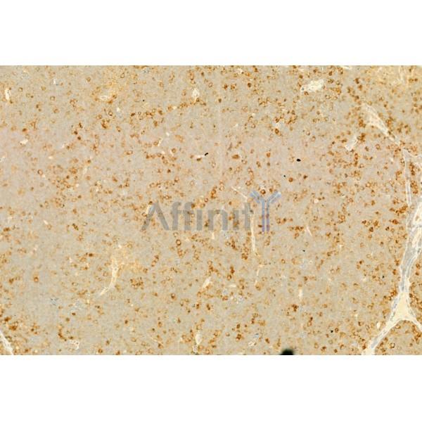 Валидация Affinity DF6745 - 18292