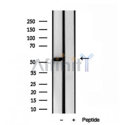 Валидация Affinity DF12072 - 6145