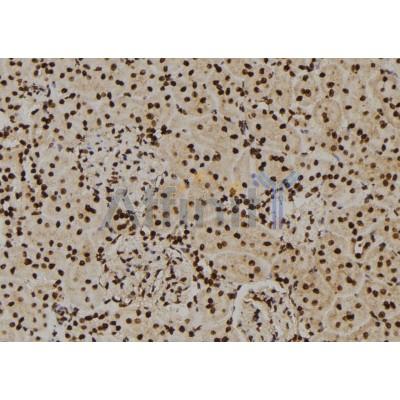 Валидация Affinity DF6296 - 17608