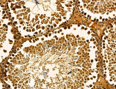 Валидация Affinity DF14394 - 10321