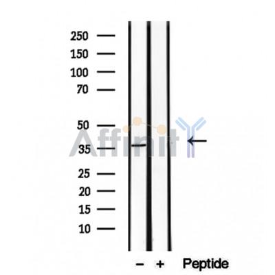 Валидация Affinity DF12239 - 6543
