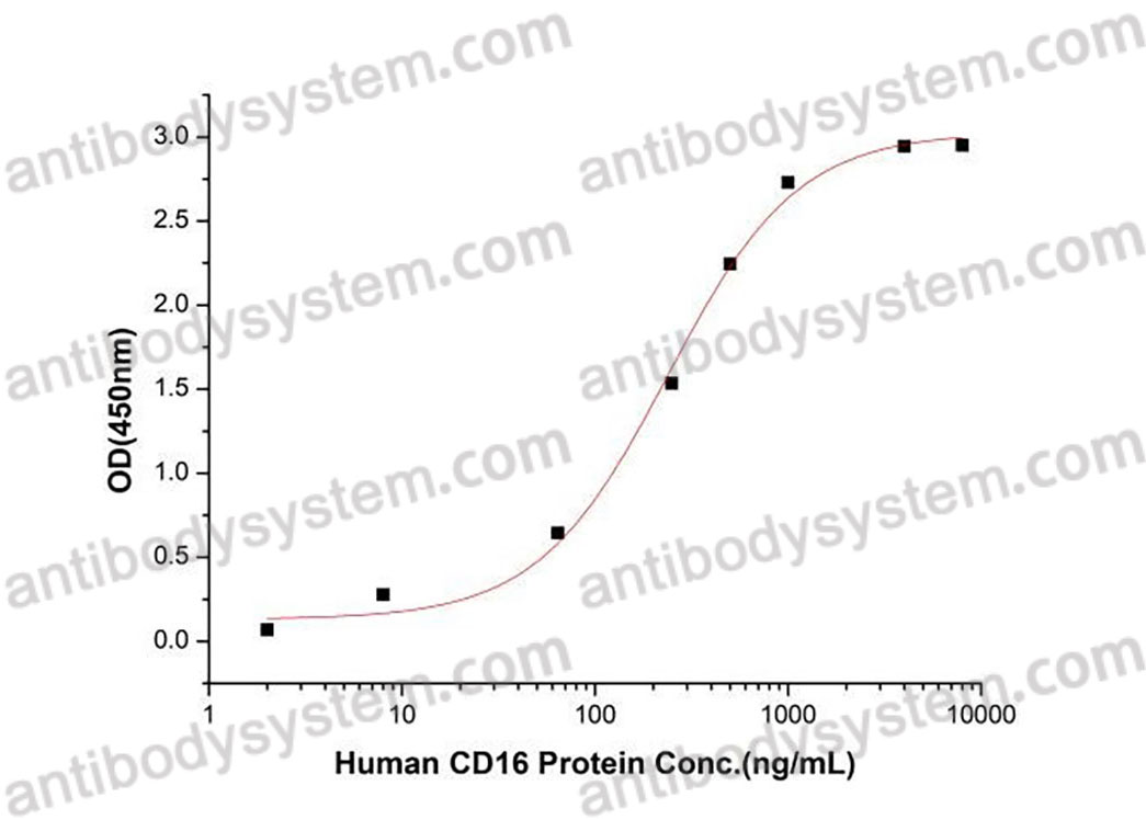 Валидация активности AntibodySystem AHC35001