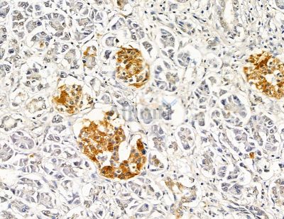 Валидация Affinity DF9196 - 21580