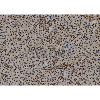 Валидация Affinity DF12390 - 6868