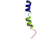 Chemokine C-C-Motif Receptor 9 (CCR9) Chemokine C-C-Motif Receptor 9 (CCR9)
