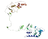 Scavenger Receptor Class B Member 2 (SCARB2) Scavenger Receptor Class B Member 2 (SCARB2)