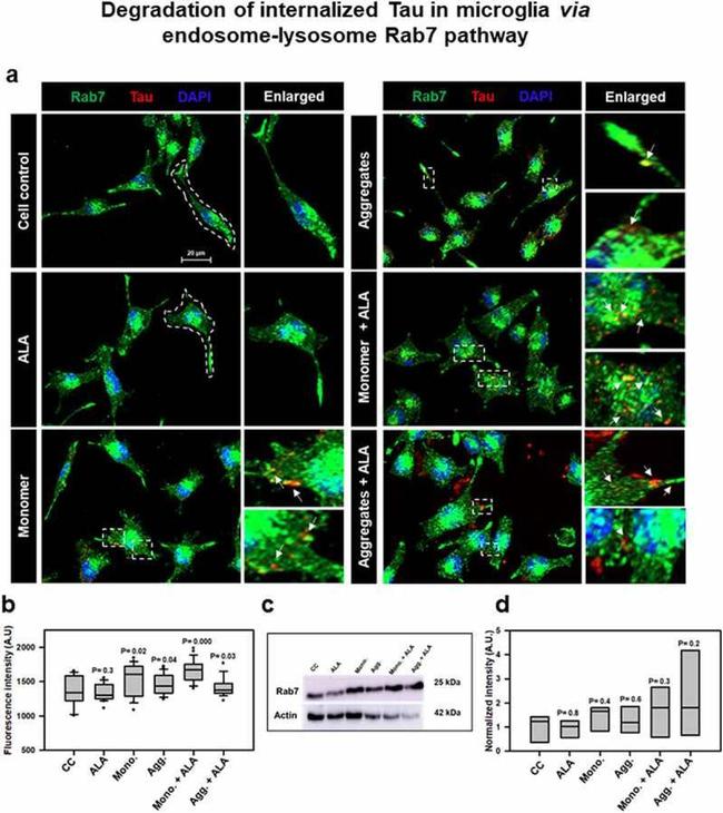 Валидация AssayVector ARM2770(5423)