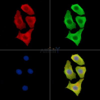 Валидация Affinity DF4017 - 15268