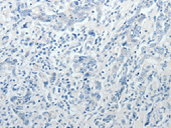 Валидация AssayVector ARM2389(4196)