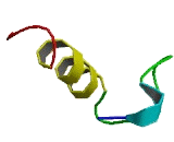 Olfactory Receptor 1J1 (OR1J1) Olfactory Receptor 1J1 (OR1J1)