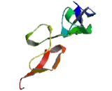 Tumor Necrosis Factor Receptor Superfamily, Member 10A (TNFRSF10A) Tumor Necrosis Factor Receptor Superfamily, Member 10A (TNFRSF10A)