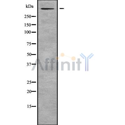 Валидация Affinity DF9843 - 22747