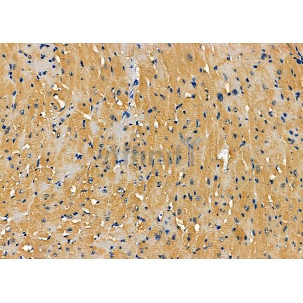 Валидация Affinity DF7332 - 19032