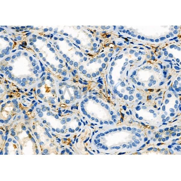 Валидация Affinity DF12319 - 6714