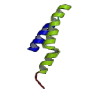 Receptor Accessory Protein 5 (REEP5) Receptor Accessory Protein 5 (REEP5)
