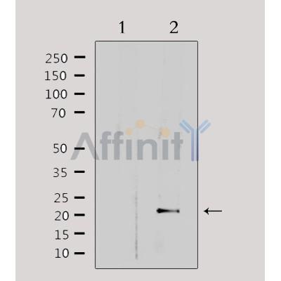 Валидация Affinity DF3667 - 14670