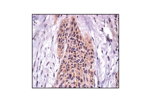 Валидация AssayVector ARM2727(5247)