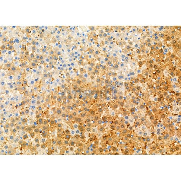 Валидация Affinity DF6514 - 17926