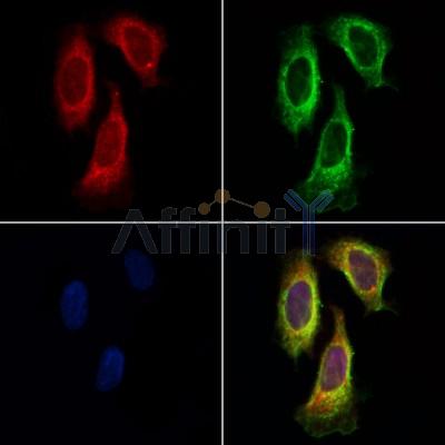 Валидация Affinity DF4865 - 16642